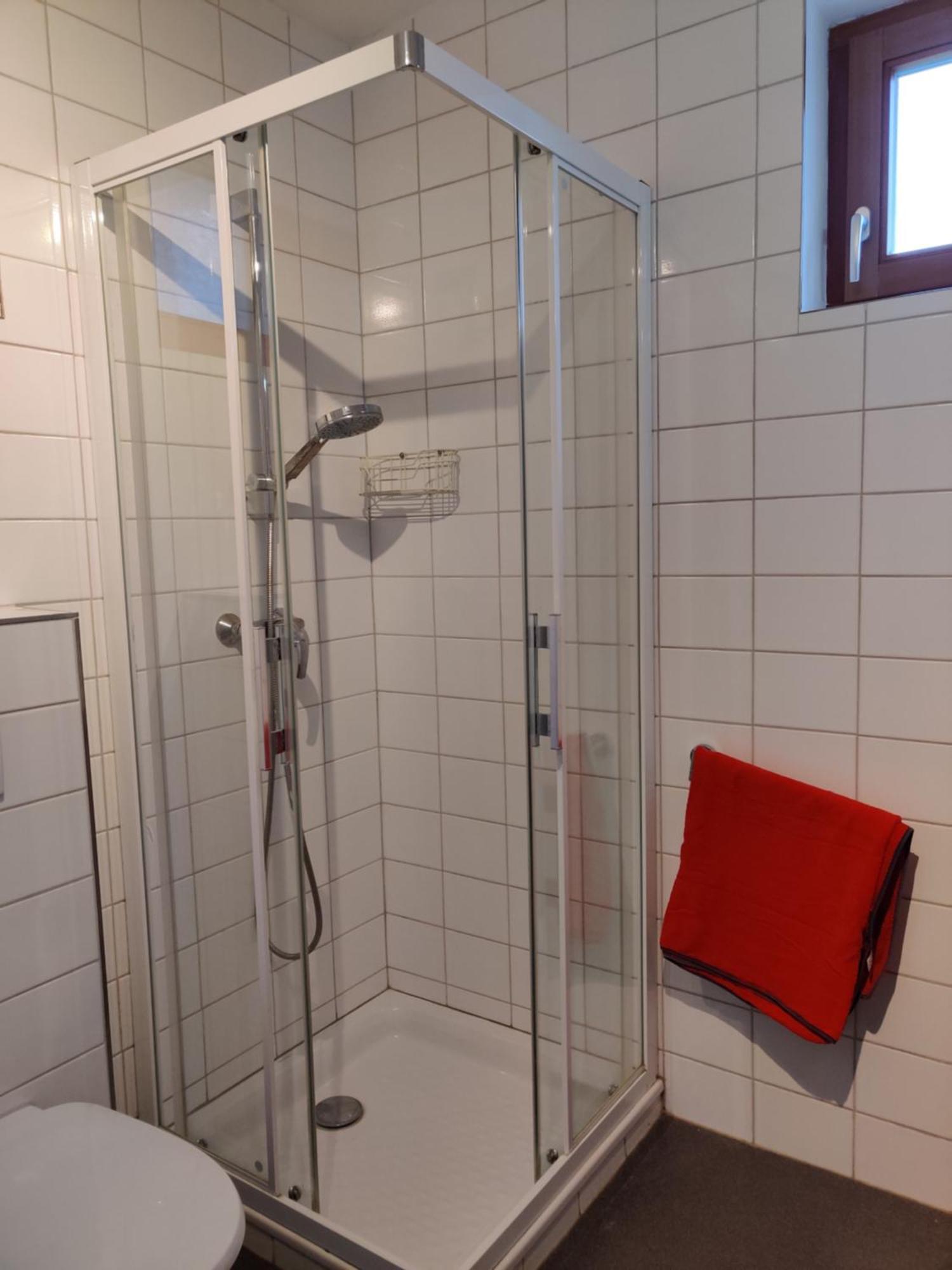 Petit Nid En Alsace Studio Independant Avec Salle De Douche Privative Buschwiller المظهر الخارجي الصورة